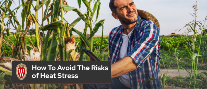 How to Avoid the Risks of Heat Stress