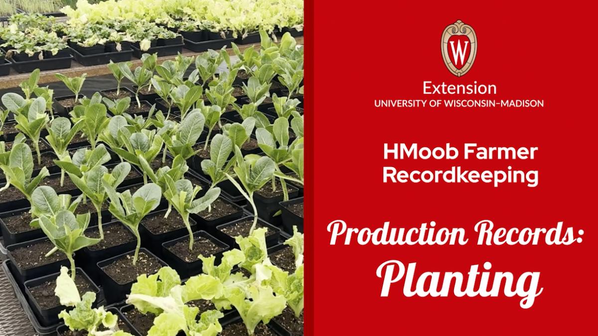 ▶ Watch: Production Records: Planting – Recordkeeping for Farmers Who Speak HMoob