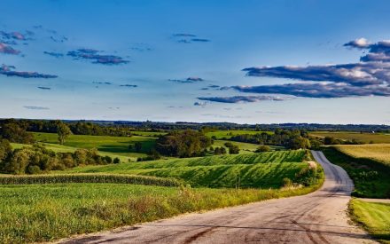 Getting Started with Stewardship Field Day – July 19, 2025