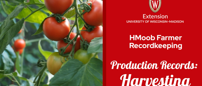 ▶ Watch: Production Records: Harvesting – Recordkeeping for Farmers Who Speak HMoob