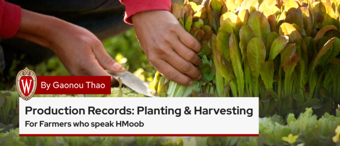 ▶ Watch: Production Records: Planting & Harvesting – Recordkeeping for Farmers Who Speak HMoob