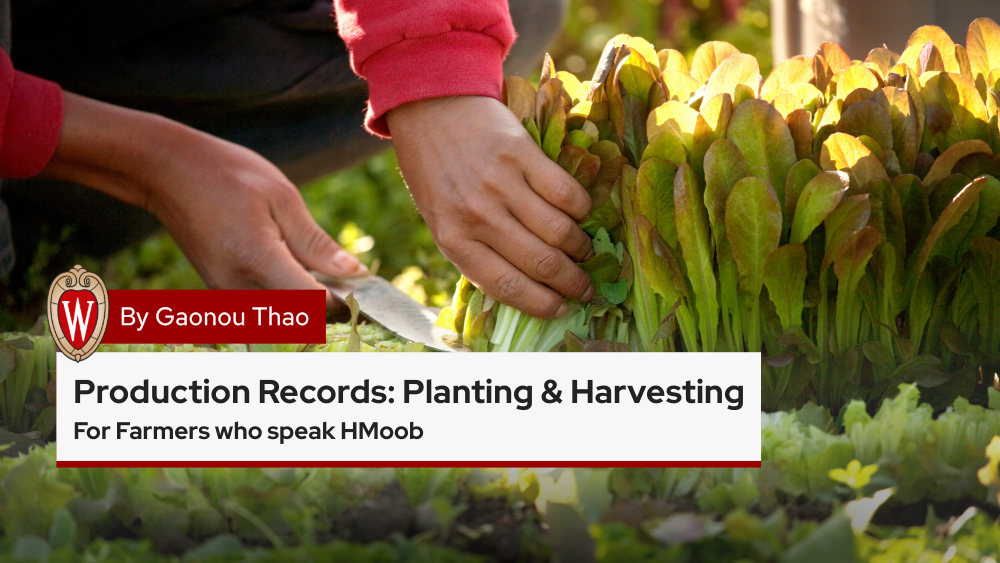 ▶ Watch: Production Records: Planting & Harvesting – Recordkeeping for Farmers Who Speak HMoob