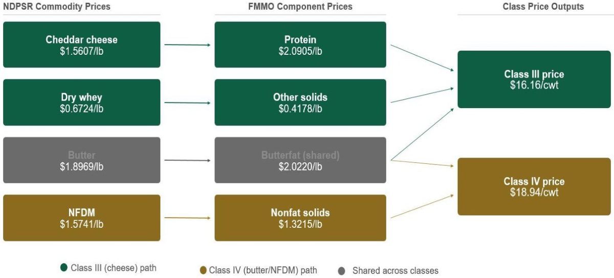 Flow diagram showing how Federal Milk Marketing Order Class III and Class IV milk prices are set. Three columns read left to right. The left column shows four NDPSR commodity prices: cheddar cheese (40-pound block) at $1.5607 per pound, dry whey at $0.6724 per pound, butter at $1.8969 per pound, and nonfat dry milk (NFDM) at $1.5741 per pound. The middle column shows four FMMO component prices: protein at $2.0905 per pound, other solids at $0.4178 per pound, butterfat (shared across both classes) at $2.0220 per pound, and nonfat solids at $1.3215 per pound. The right column shows two class price outputs: Class III price at $16.16 per hundredweight and Class IV price at $18.94 per hundredweight, both for March 2026. Arrows connect cheese to protein, dry whey to other solids, butter to butterfat, and NFDM to nonfat solids. Protein, other solids, and butterfat feed into Class III. Butterfat and nonfat solids feed into Class IV. The NFDM commodity box, nonfat solids component box, and Class IV price box are highlighted in amber to emphasize the Class IV pathway. A bar at the bottom labeled "Make allowances" indicates that manufacturing cost deductions are embedded in every FMMO formula.