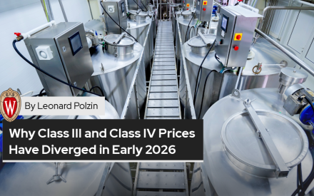 Why Class III and Class IV Prices Have Diverged in Early 2026: What the NFDM Rally Means for Wisconsin Cheese Route Producers