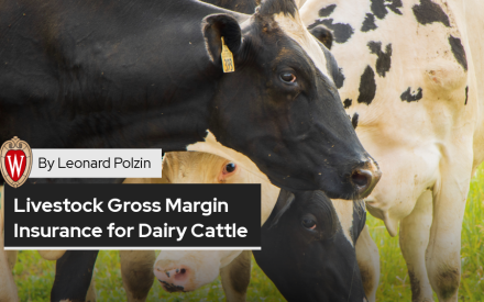 Livestock Gross Margin Insurance for Dairy Cattle: An Overview for Wisconsin Dairy Producers