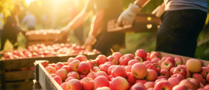 Long-Term Economic Viability and Farm Succession