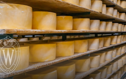 Tariffs, Trade, and the Dairy Industry: Understanding the USTR Section 301 Investigation