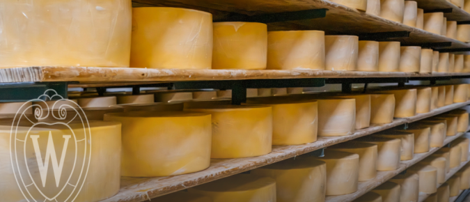 Tariffs, Trade, and the Dairy Industry: Understanding the USTR Section 301 Investigation