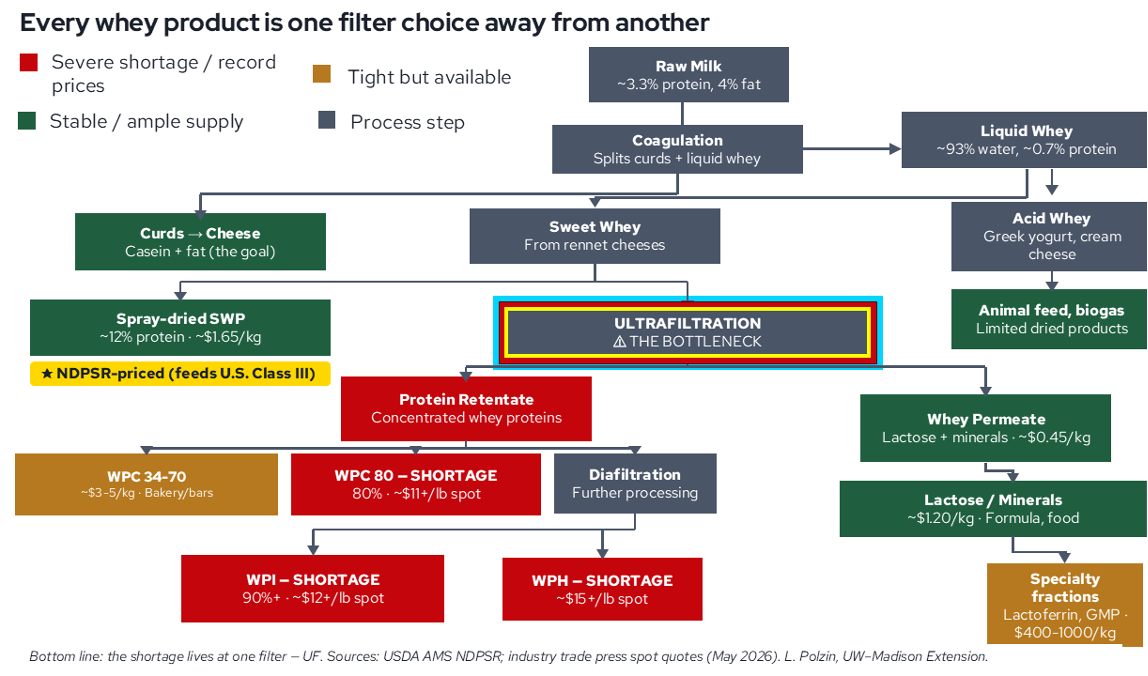 A complex production flowchart titled "Every whey product is one filter choice away from another." The chart illustrates the dairy processing steps from raw milk to various whey derivatives, color-coding their market supply status.