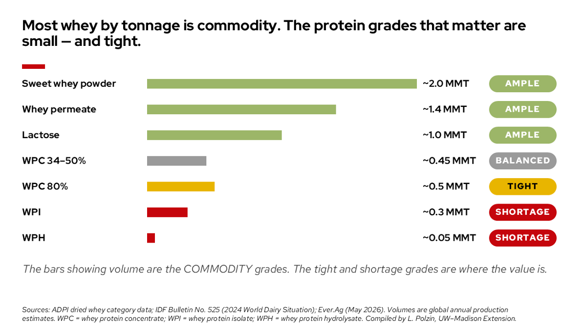 A horizontal bar chart titled "Most whey by tonnage is commodity. The protein grades that matter are small — and tight." It compares the global annual production volume of seven whey product grades and tags their respective supply availability.