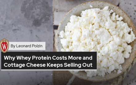 High-Protein Whey and Cottage Cheese: A Structural Explainer
