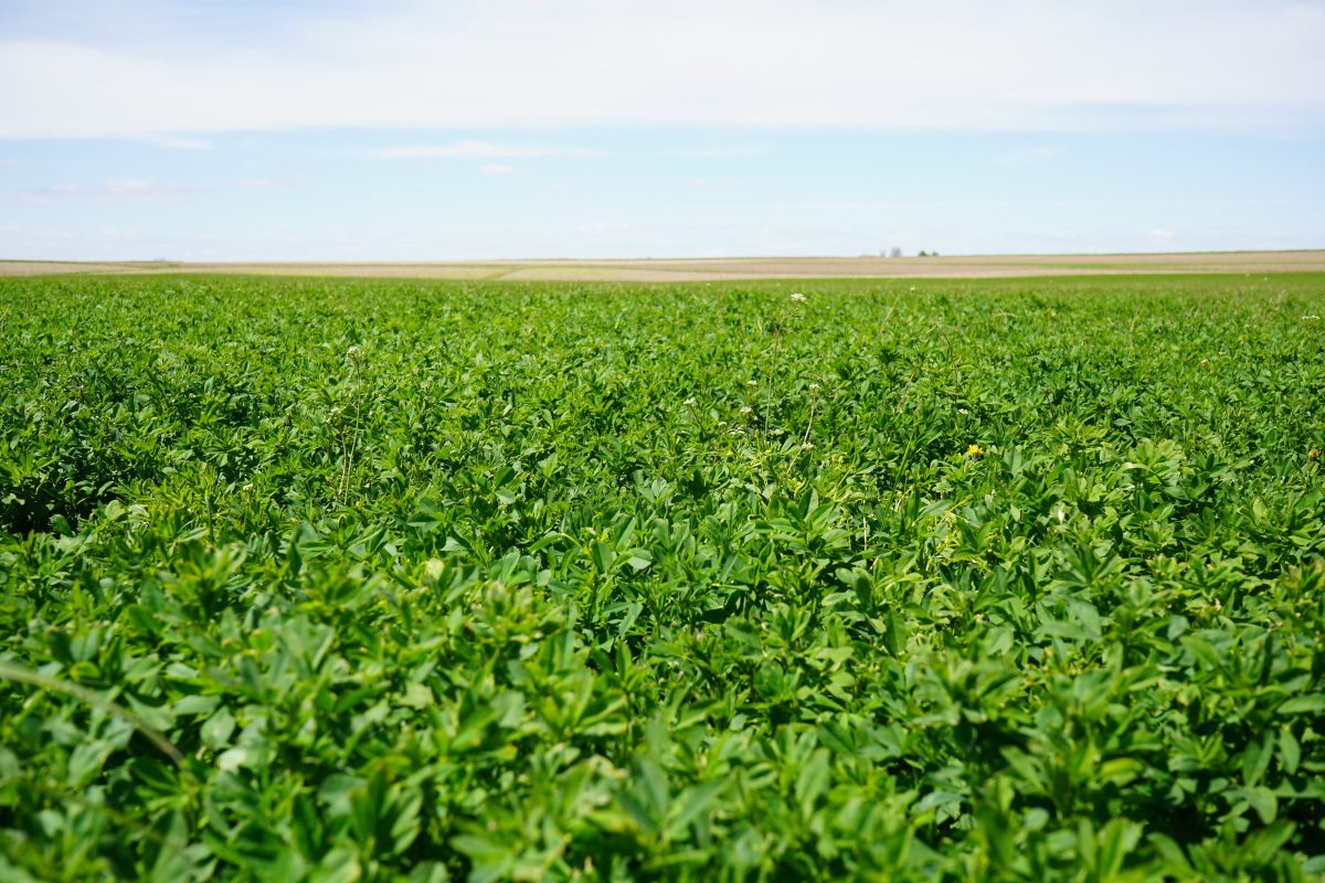 Farm Lease Seminars Scheduled Across Wisconsin