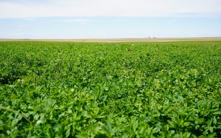 Farm Lease Seminars Scheduled Across Wisconsin
