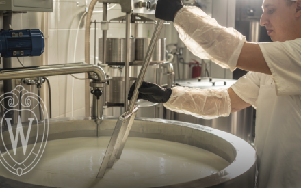 The Global Milk Market