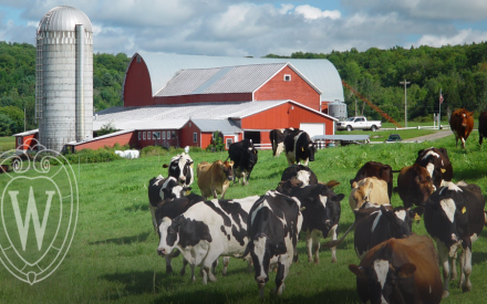 Dairy Price Risk Management Tools: An Overview for Wisconsin Producers
