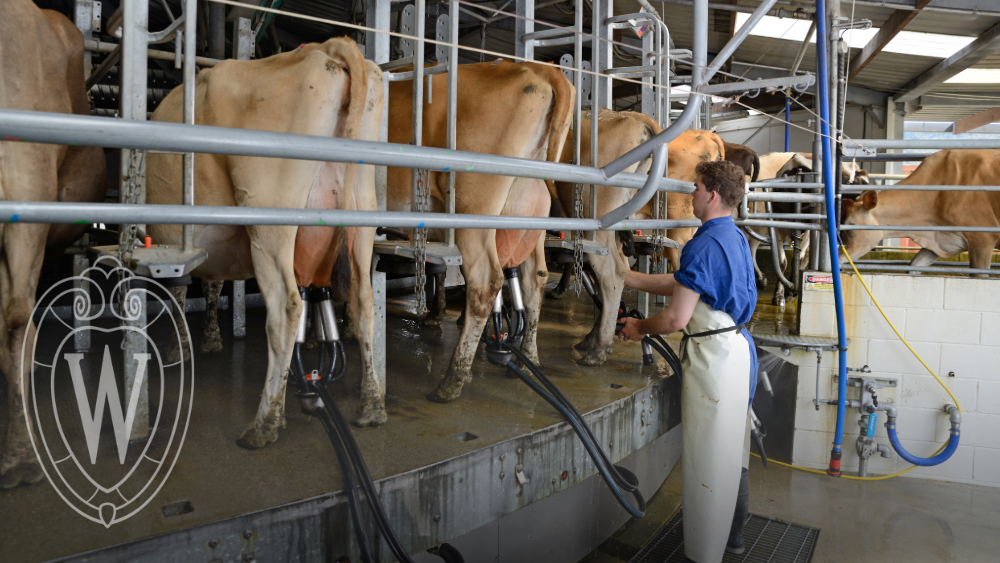 Current Discussions on the Dairy Margin Coverage Program in 2026
