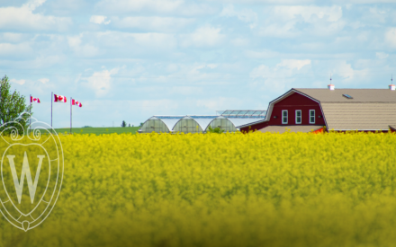 Canada's 2026 Retaliatory Dairy Tariffs: What Is Tariffed, What Moves, and What It Means for U.S. and Wisconsin Milk Prices