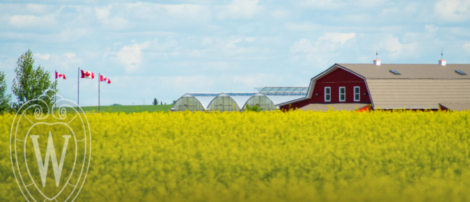 Canada’s 2026 Retaliatory Dairy Tariffs: What Is Tariffed, What Moves, and What It Means for U.S. and Wisconsin Milk Prices