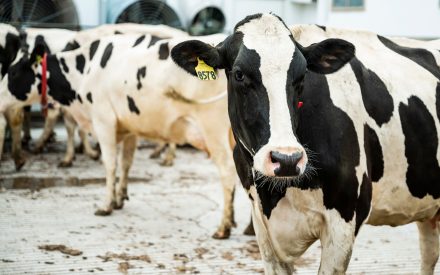 2027 Dairy Margin Coverage Enrollment: Oct. 5 to Dec. 18, 2026