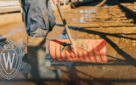 Carbon Credits in U.S. Dairy: Past, Present, and Future