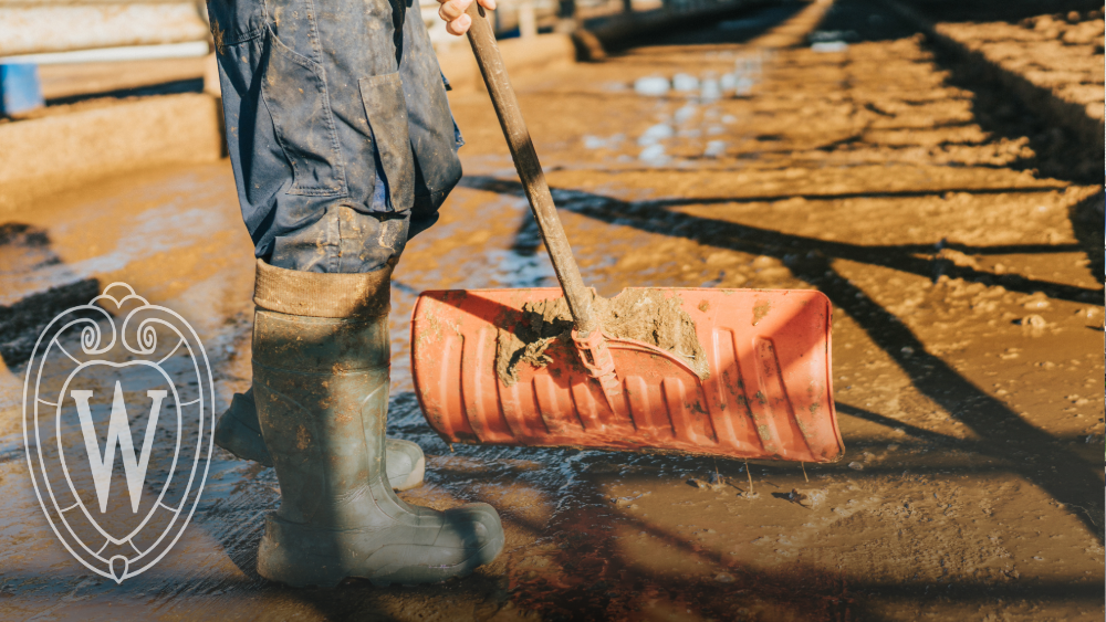 Carbon Credits in U.S. Dairy: Past, Present, and Future