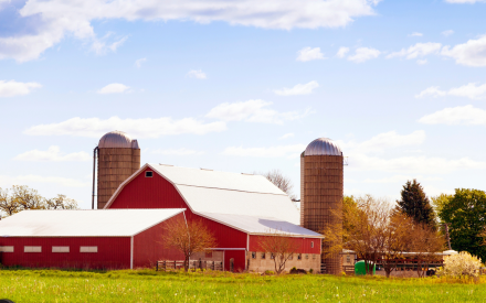 UW-Madison Extension to deliver DMC & ARC/PLC informational Webinar on November 4, 2026